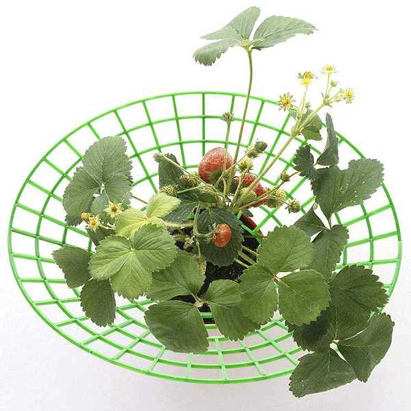 Подставка для клубники держатель рамы стойка фруктов подставка растений цветов