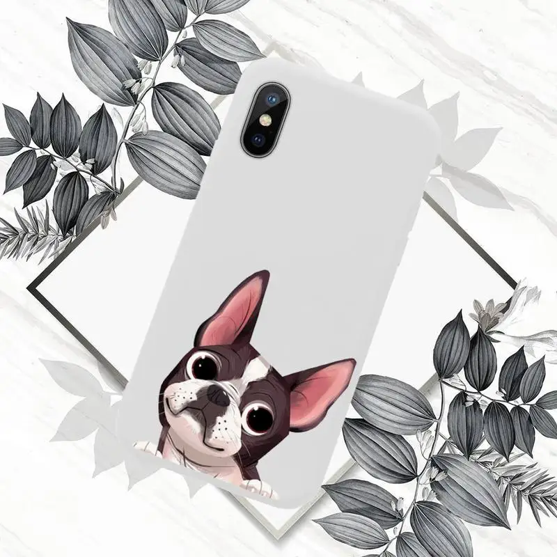 

Dog French Bulldog Phone Case White Candy Color for iPhone 11 12 mini pro XS MAX 8 7 6 6S Plus X SE 2020 XR
