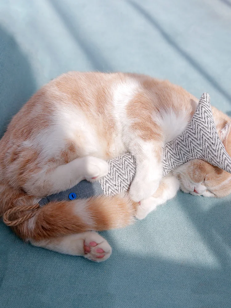 

Игрушка для кошек, рыба, кошка, мята, смешная кошка, палка, искусственная кошка, кошка, моляр, кошка, самостоятельная игрушка, товары