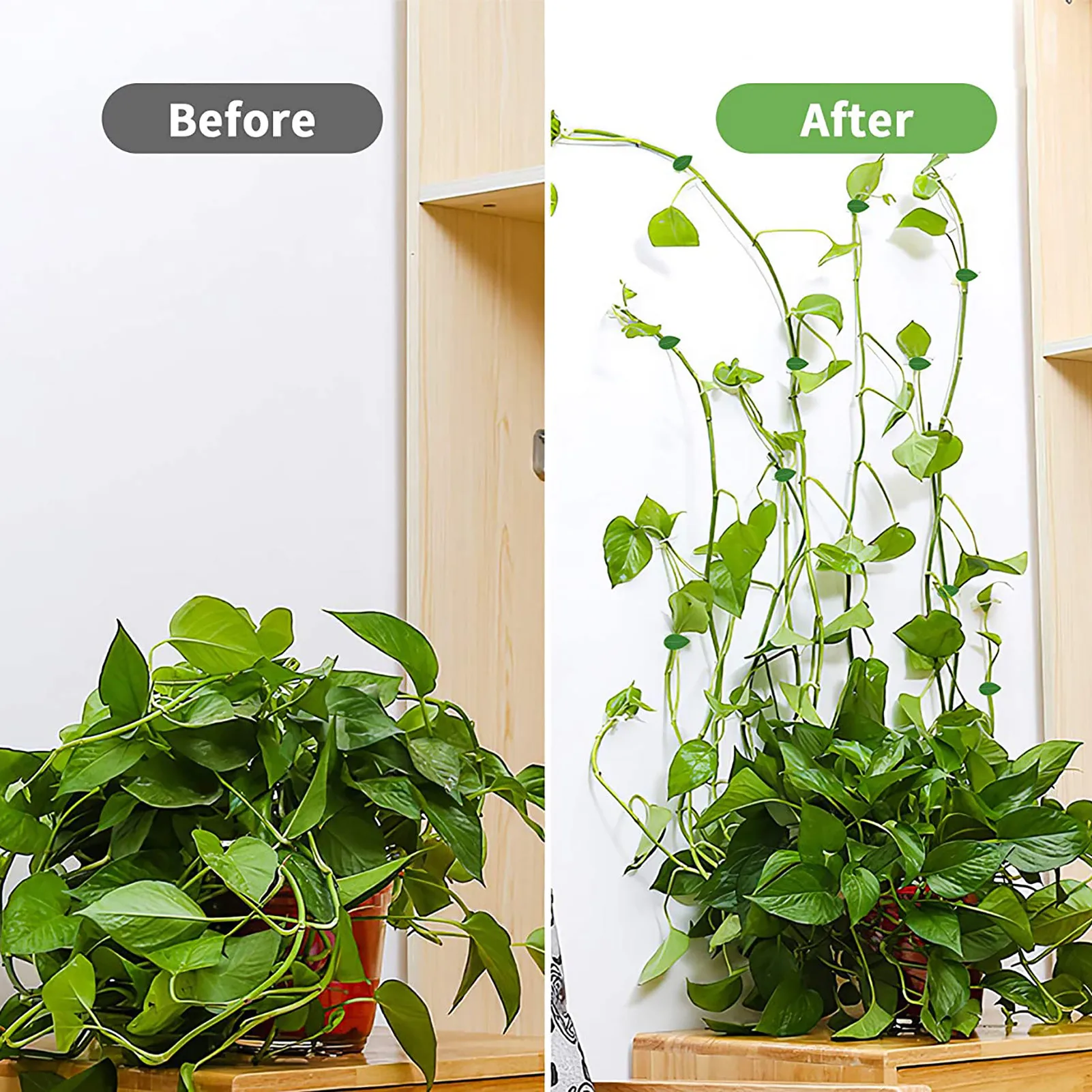 

10/20/30Pcs Plant Garden Clips Vegetable Plant Vine Support Clips for Holding Plant Stems