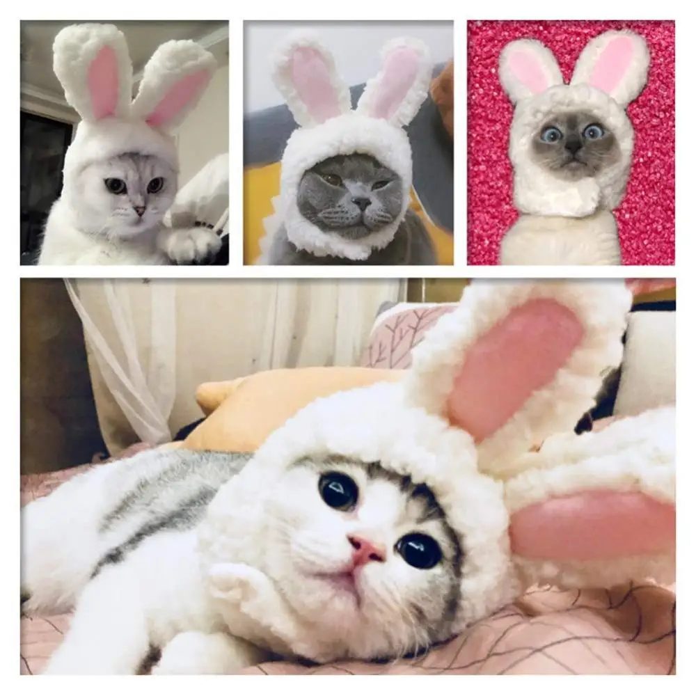 Costume Bunny Rabbit Hat with Ears for Cats &amp Small Dogs Party Accessory Headwear | Дом и сад