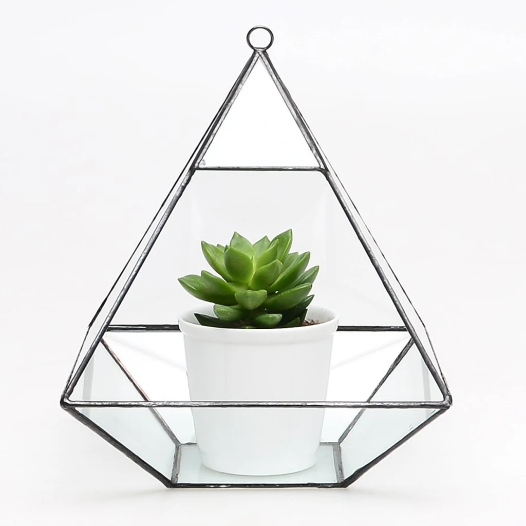 

Diamond Hanging Glass Terrarium Tabletop Succulent Plant Box Moss Fern Pot