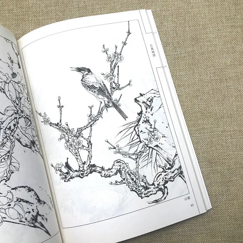 Китайская рукопись Bai Miao для начинающих китайская живопись птицы растения