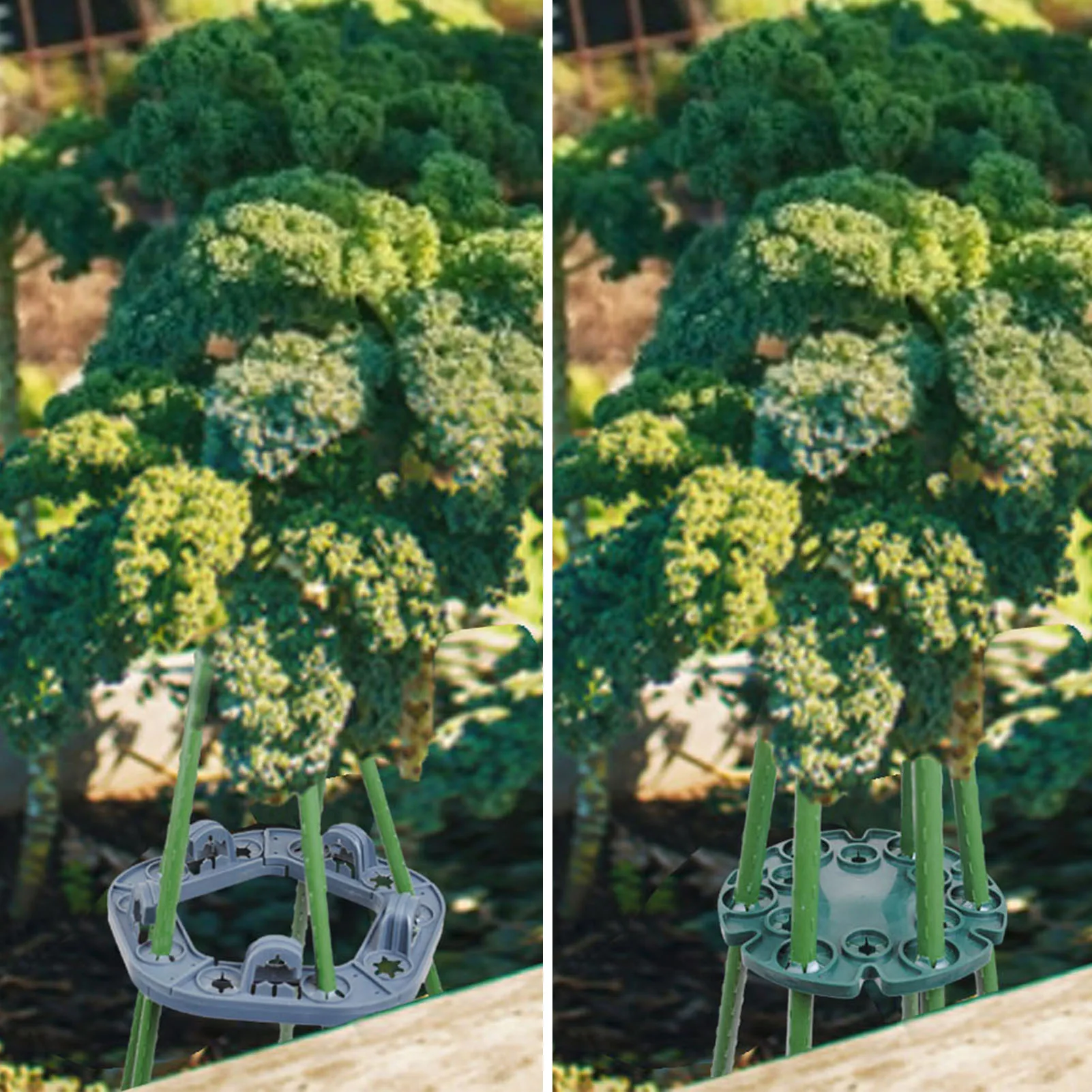 

Bamboo Cane Holder Vine Tomato Cucumber DIY Protection Stand Garden Plastic-coated Steel Pipe Fixing Frame Climbing Plant Holder