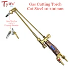 Кислородный пропановый режуфонарь 10-100 мм, толщина резания G01-30, режуфонарь