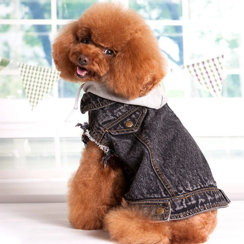 

Dog Coat Jacket Winter Pet Outfit Dog Clothing Chihuahua Yorkie Pomeranian Poodle Bichon Pug Schnauzer French Bulldog Costume
