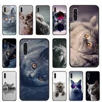 chartreux cat cute lovely phone case for samsung galaxy s21 s20 fe s10 a51 a52 a71 a50 a12 a72 a21s a70 note 20 10 ultra plus