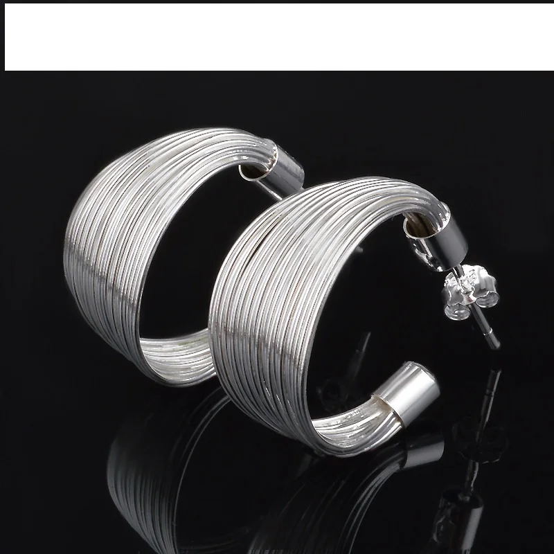 

Fashion Jewelry 925 Sterling Silver Multiline Ear Studs Woman‘s Earrings