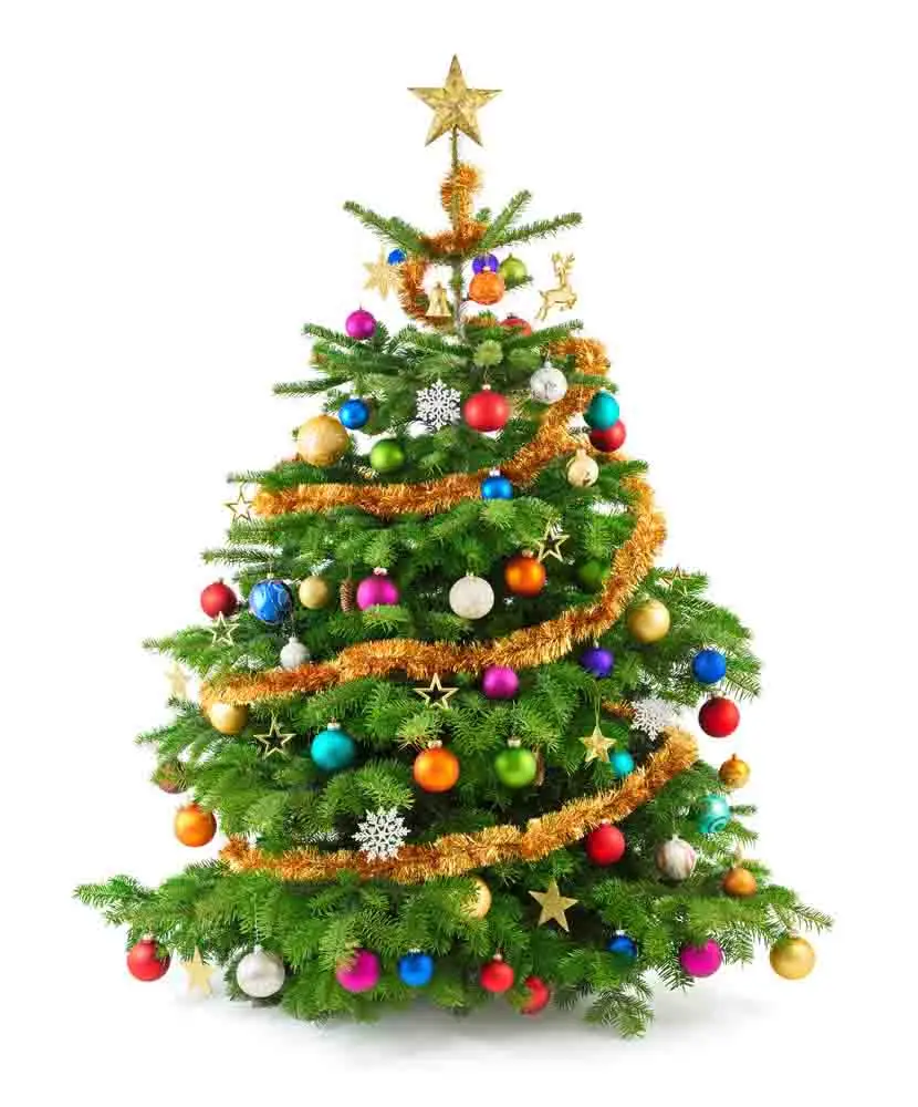 

SHENGYONGBAO Vinyl Custom Photography Prop Christmas day Christmas tree theme Photo Studio Background 18012-1257