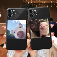 candy tpu animal cute pig black phone cases for iphone 6 s 7 8 plus x xs xr 11 12 13 pro max mini silicone protective sleeve