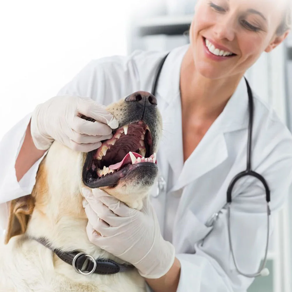 Зубная паста для домашних животных инструмент ухода за зубами товары кошками