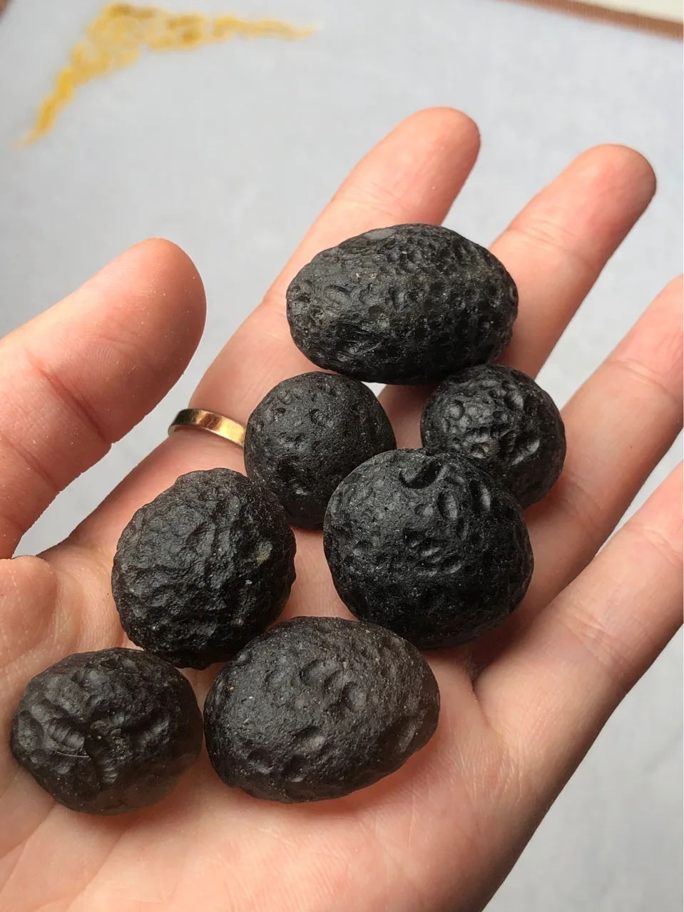 

Columbia Wolf Star Glass Meteorite Mineral Collection Ornaments