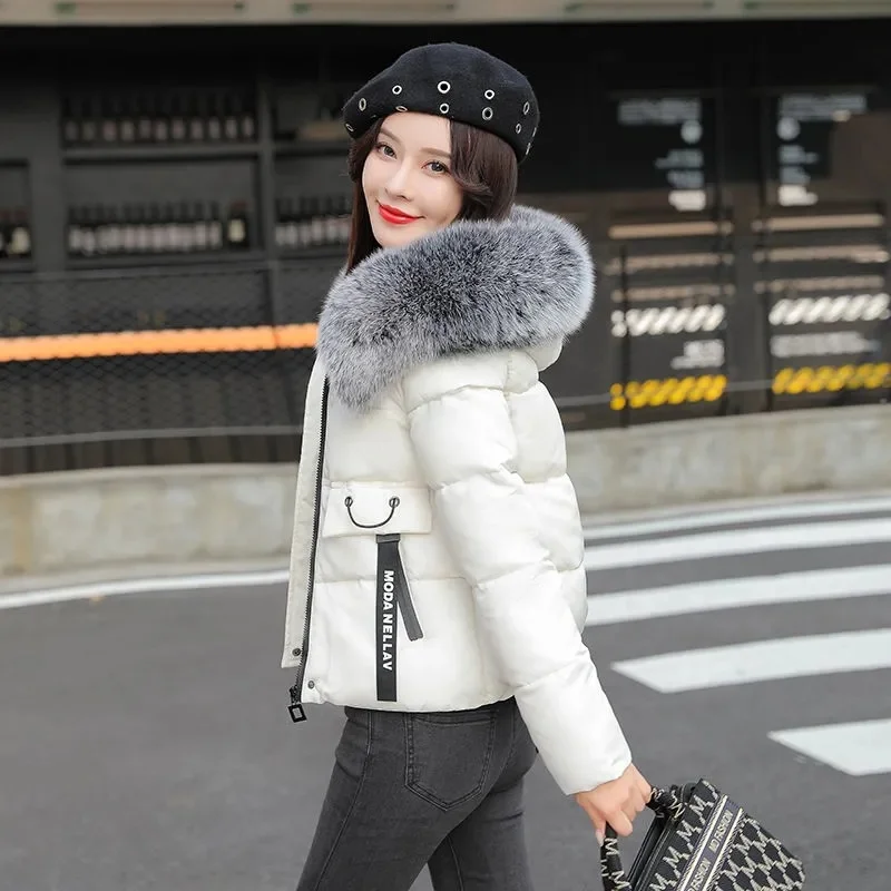 

Cropped Jacket Women Slim Fur Collar Hooded Solid Color Zipper Winter Coat Thick Warm Cotton Padded Parkas Elegant Lady Outwear