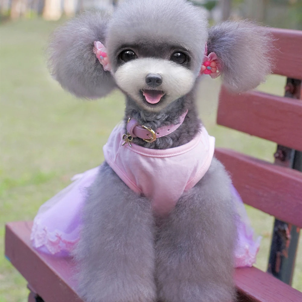 Кружевная юбка с алфавитом одежда для щенка котенка французского бульдога собак