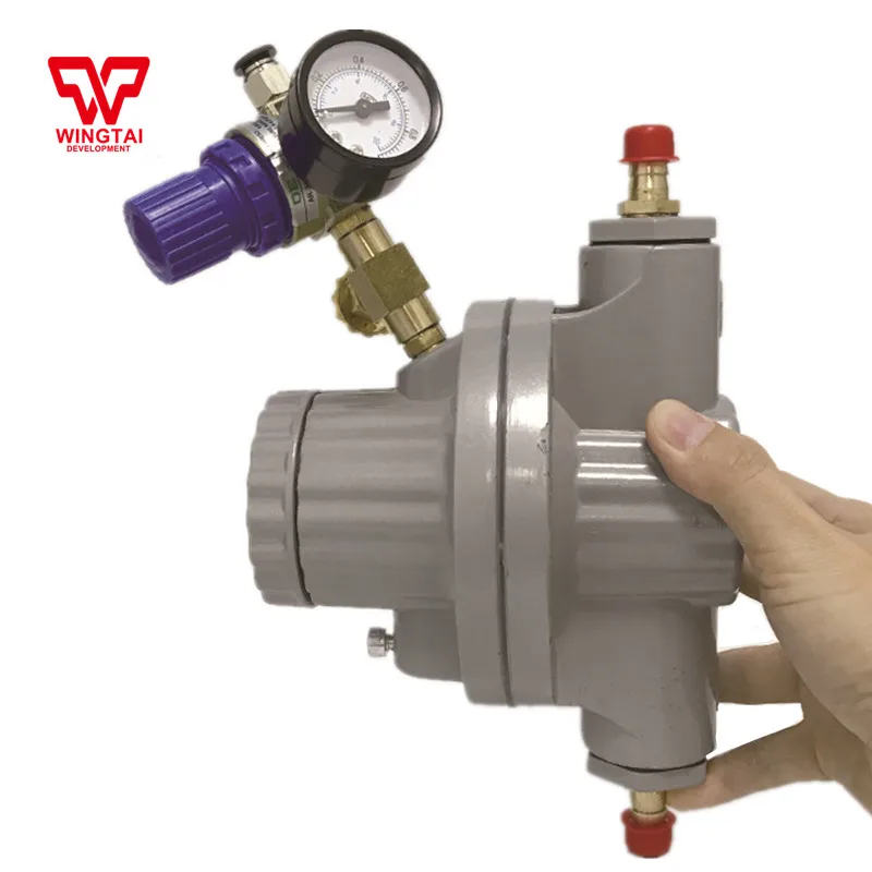 

Single Way Pneumatic Diaphragm Pump For Printing Ink and Glue 5#