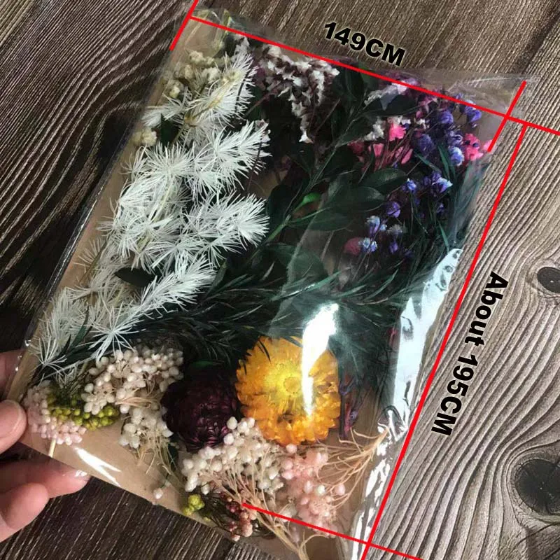 От волдырей 25 г натуральным завода по производству сухих Мульти Стиль сушеная