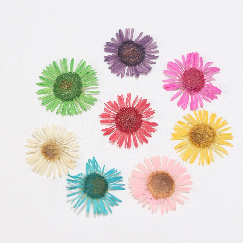 Смешанные сушеные цветы украшения для ногтей ювелирные изделия натуральные