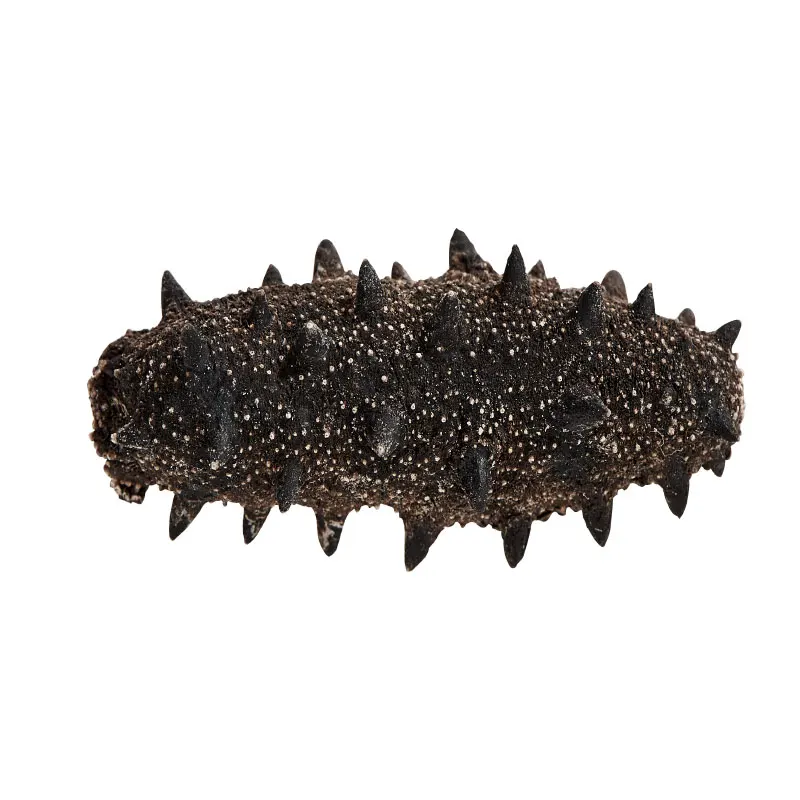 

High-quality Dalian sea cucumber, 9-year deep sea sea cucumber, world-precious ingredients, naturally dried