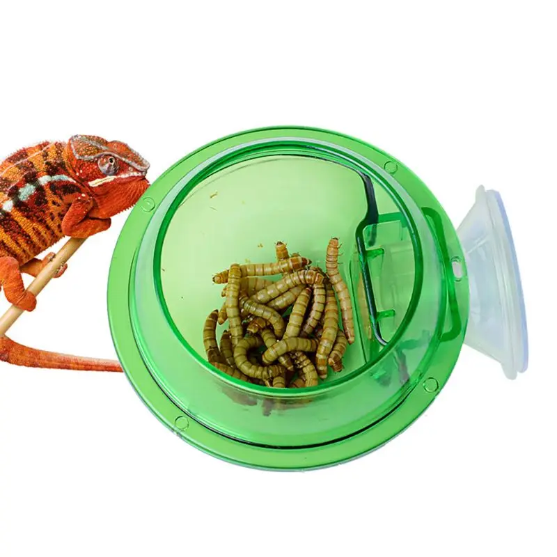 

Reptile Anti-escape Food Bowl Cup Turtle Lizard Worm Live Food Container