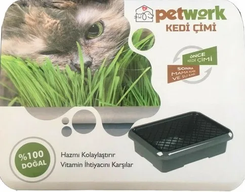 

Cat Grass-Infant Food Container/Water Container Gift