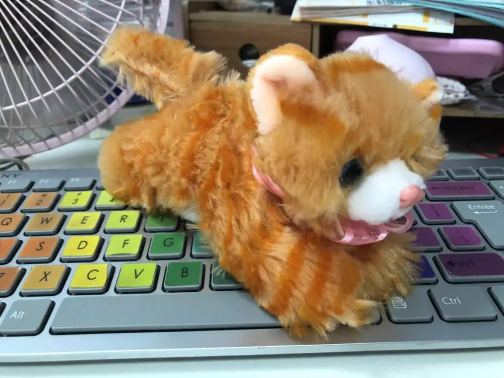 orange 15cm Millffy, 1 шт., новинка, 15-40 см, имитация кошки, кукла, плюшевая игрушка, японская кошка, плюшевая подушка, подушка для сна, подарки для девушки - Цвет: orange 15cm