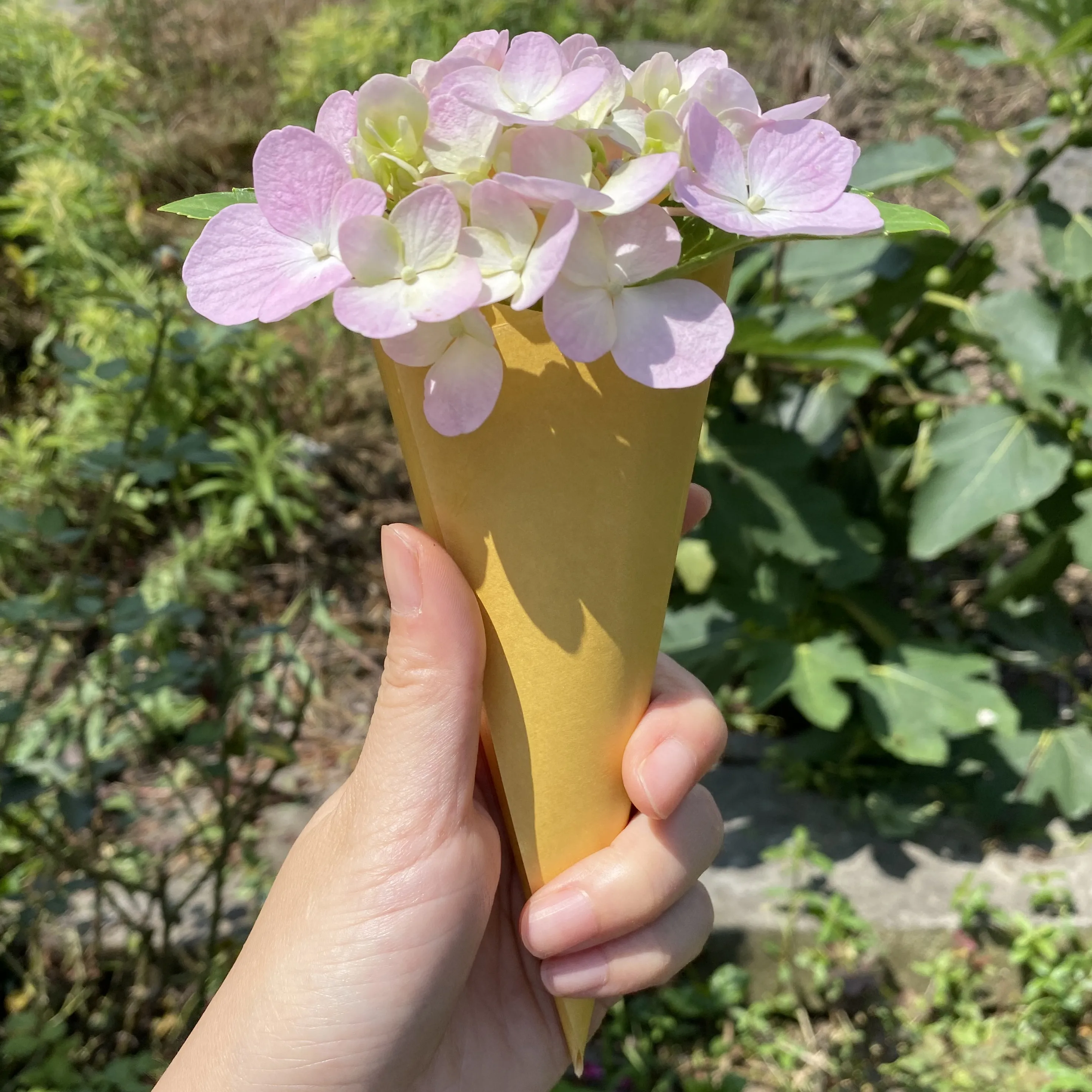 

50 pieces CONFETTI CONES PEARLY Gold Wedding Decoration Guest Use 15CM