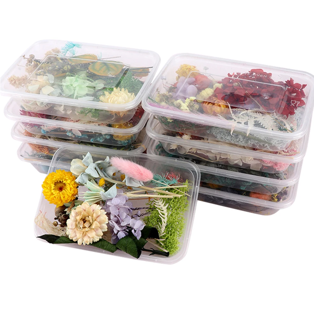 

Pressed Flower Mixed Dried Flowers DIY Art Floral Decors Collection Gift Craft DIY Home BENL889