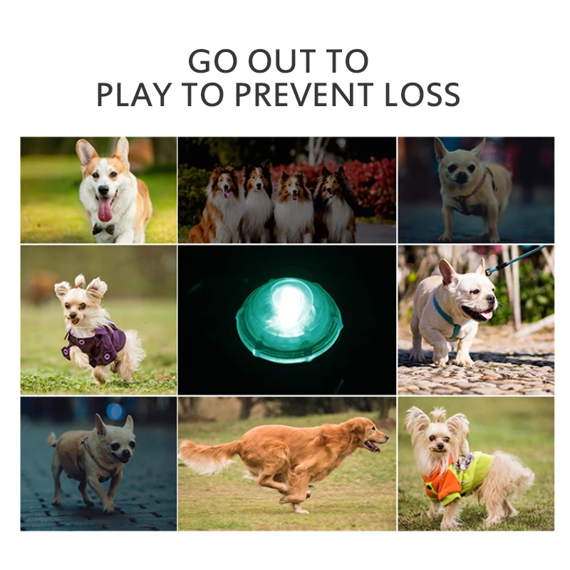 Светодиодный фонарик ночной безопасности для домашних животных|Воротники| |