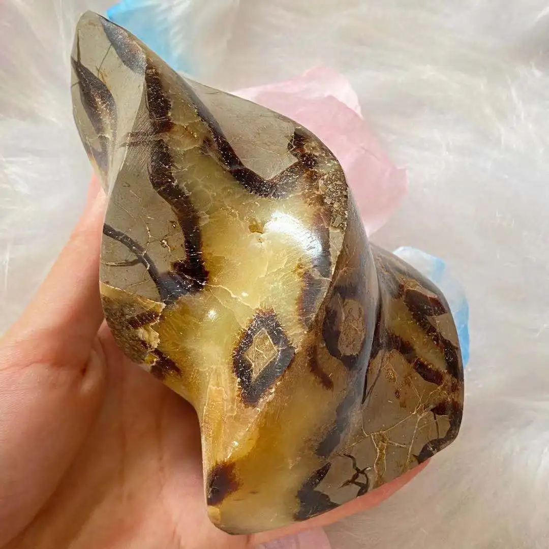 

Natural dragon tortoise back stone crystal flame shape sample cured