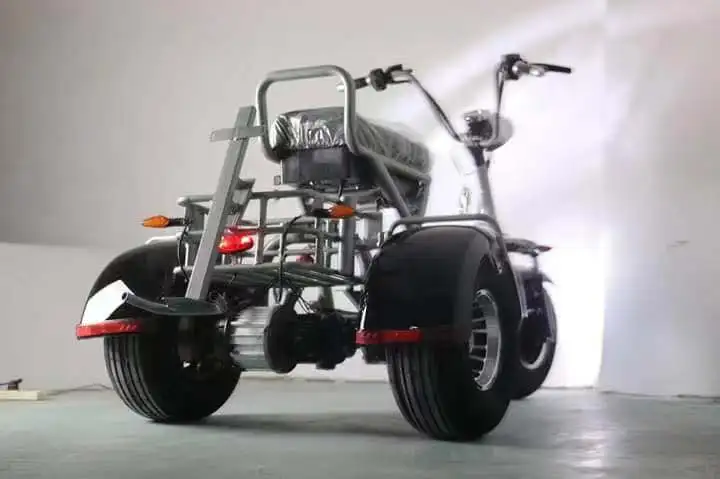 Emak/COC/EEC Electric Motorcycle Modern Design 3 Wheel Scooter 2000W Citycoco For Adult EEC Standard Electro Tricycle |