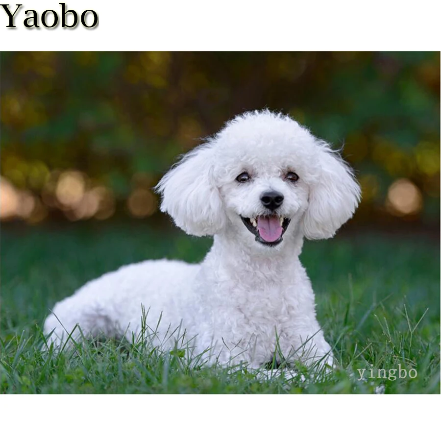 Белая пудельная собака 5D DIY Алмазная картина полностью квадратная круглая дрель