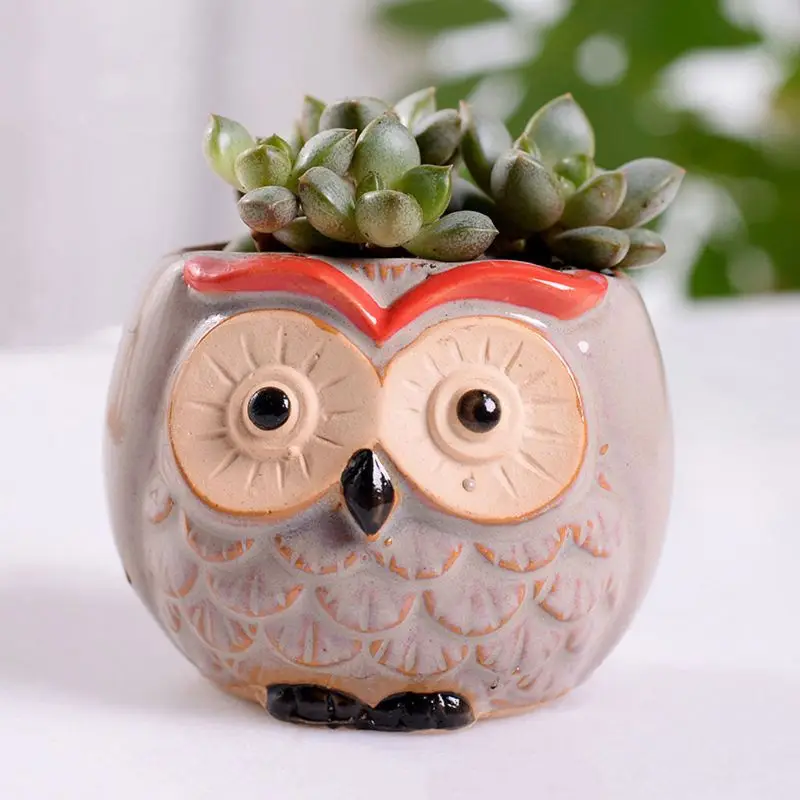 

Ceramic Owl Succulent Pots, Owl Pattern Succulent Cactus Plant Pots, for Desktop Windowsill Office Home Decor