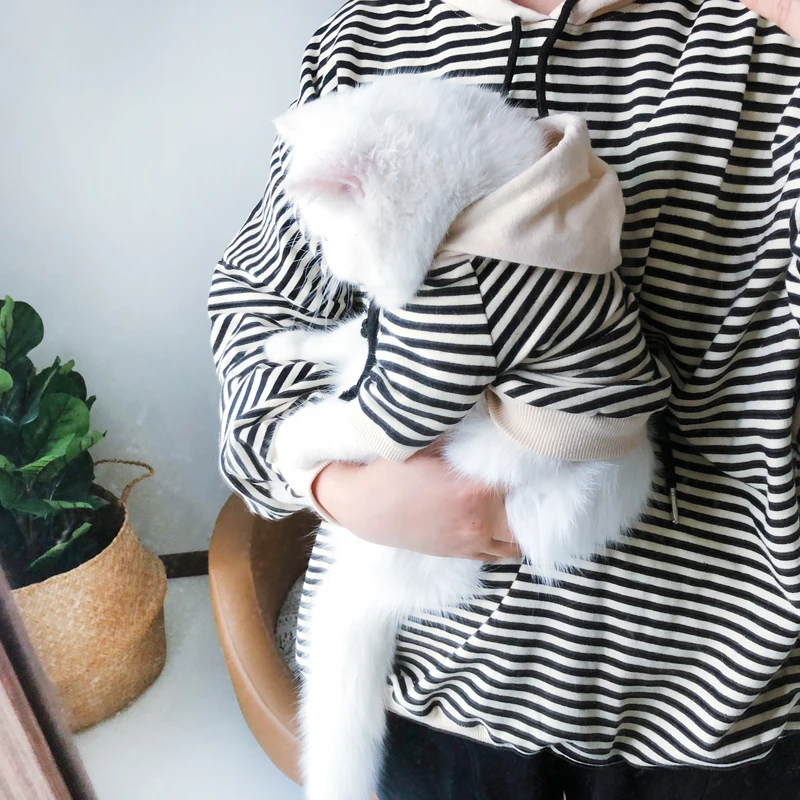 Одежда для собак зимняя теплая полосатая хлопковая толстовка щенков кошек