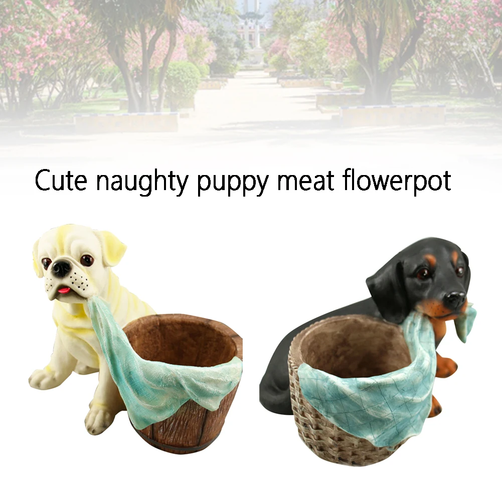 Тюльпаны суккулент растение Садоводство настольная милая собака форма офис