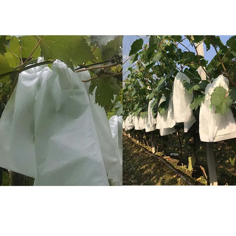 Мешок для защиты садовых овощей винограда яблок фруктов 30 шт./лот | Дом и сад