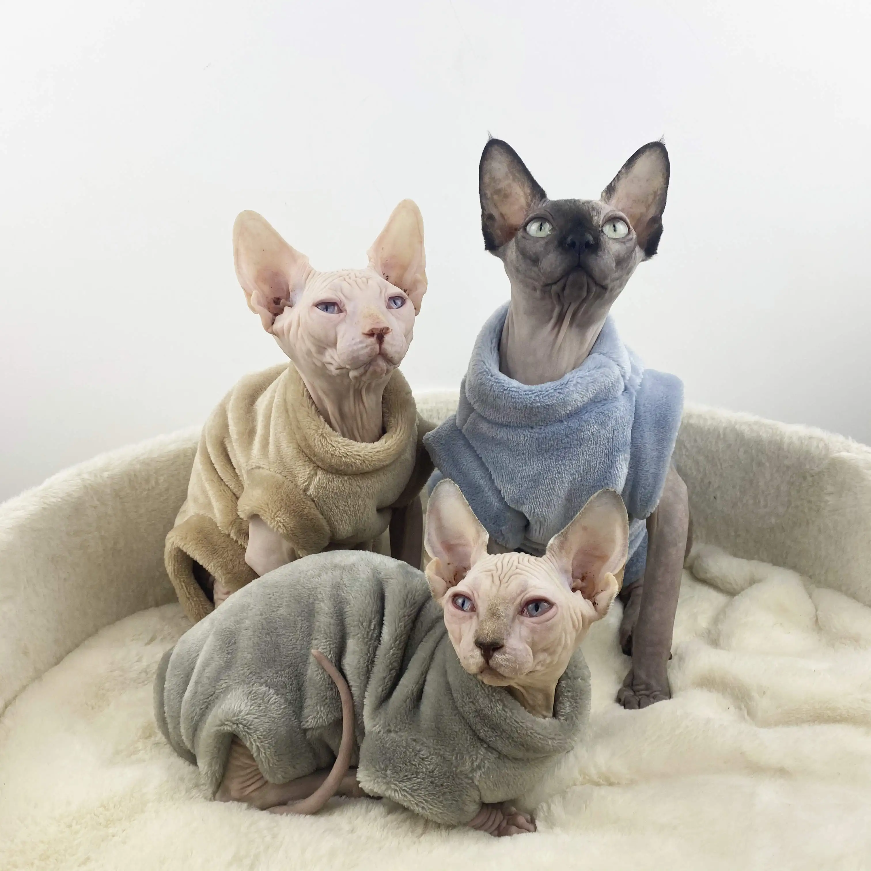 

Sphinx Hairless Cat Clothes Flannel Warm in Winter Hairless Cat Four-legged Clothes Devon Cat Pet Clothes