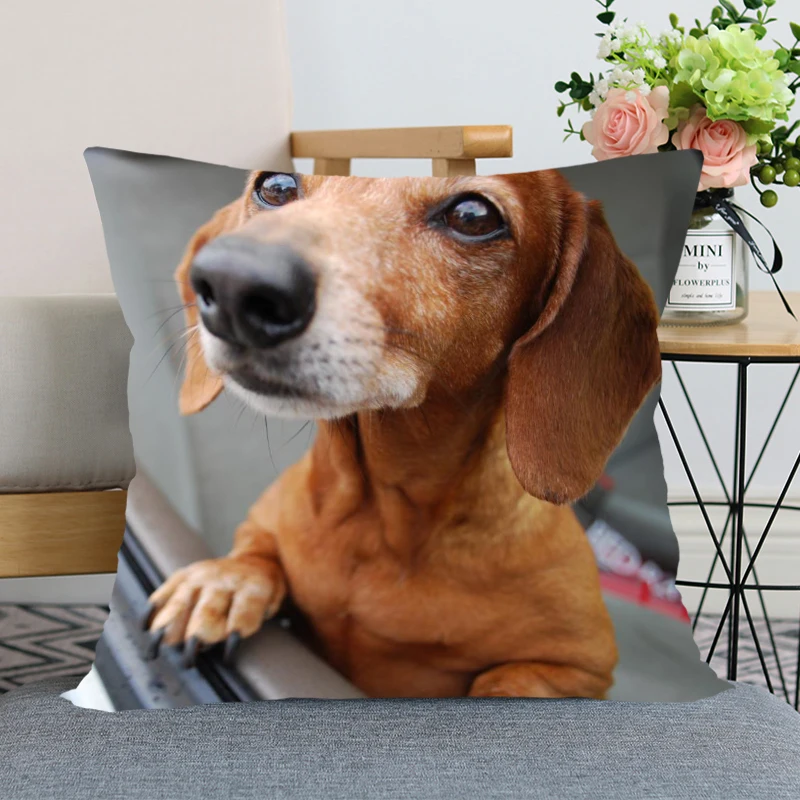 Таксы животных из мультфильмов Лидер продаж Подушка Чехол Высокое качество