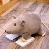 Изображение товара 4