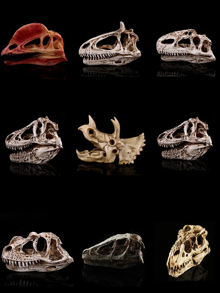 Смола Тираннозавр &quotскелетная&quot керамическая фигурка Скульптура динозавр