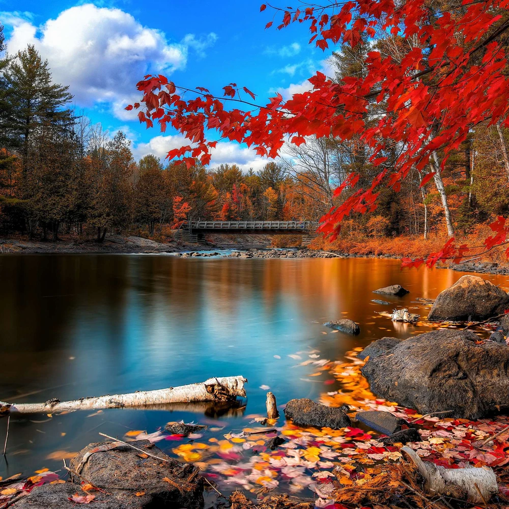 Ceny Link Do Płatności Za Zamówienie Niestandardowe 2000 Szt. 90x90mm I 2000 Szt. 50mm Okrągłe Naklejki