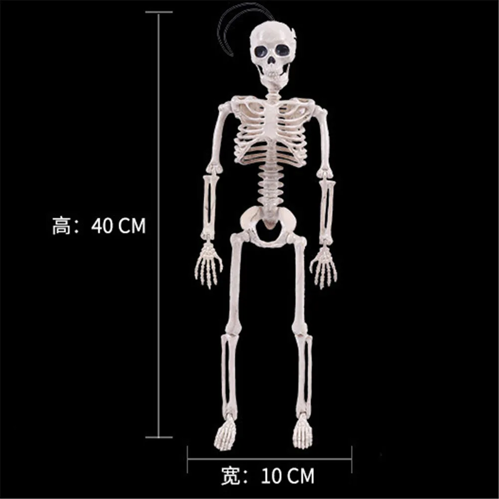 

40CM Flexible Human Anatomical Anatomy bone Skeleton Model Medical Wholesale Medical Learn Aid Anatomy art sketch Halloween