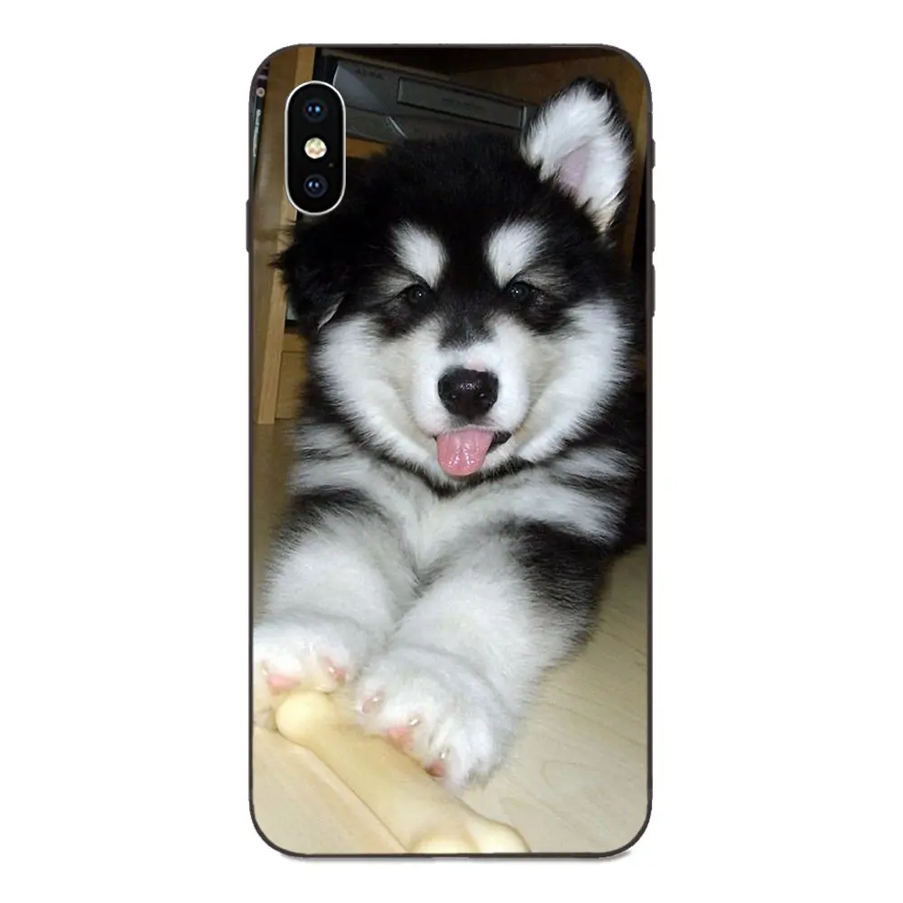 as picture Мягкий чехол для Huawei Honor 5A 6A 6C 7A 7C 7X 8A 8C 8X9 10 P8 P9 P10 P20 P30 Мини Lite Plus самоед милая собака - Цвет: as picture