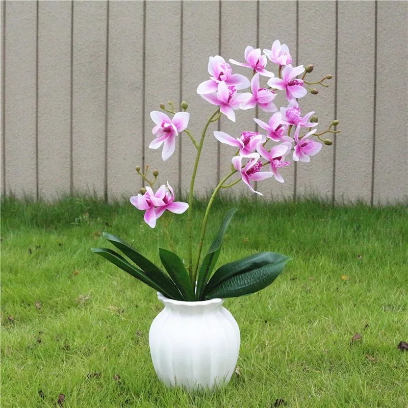 3 вилки Восточной Азии Орхидея Cymbidium Faberi искусственный цветок сохраненный свежий