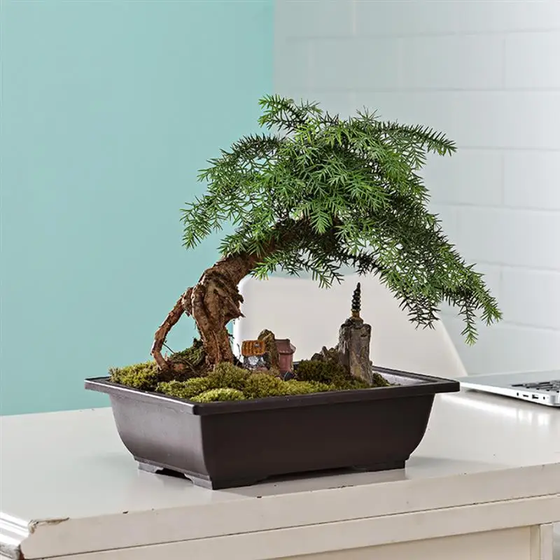 

Bonsai Training Pot Basin Flower Pot Bowl Nursery Plastic Square Rectangle Container For Plant Succulent Bonsai Training Pot