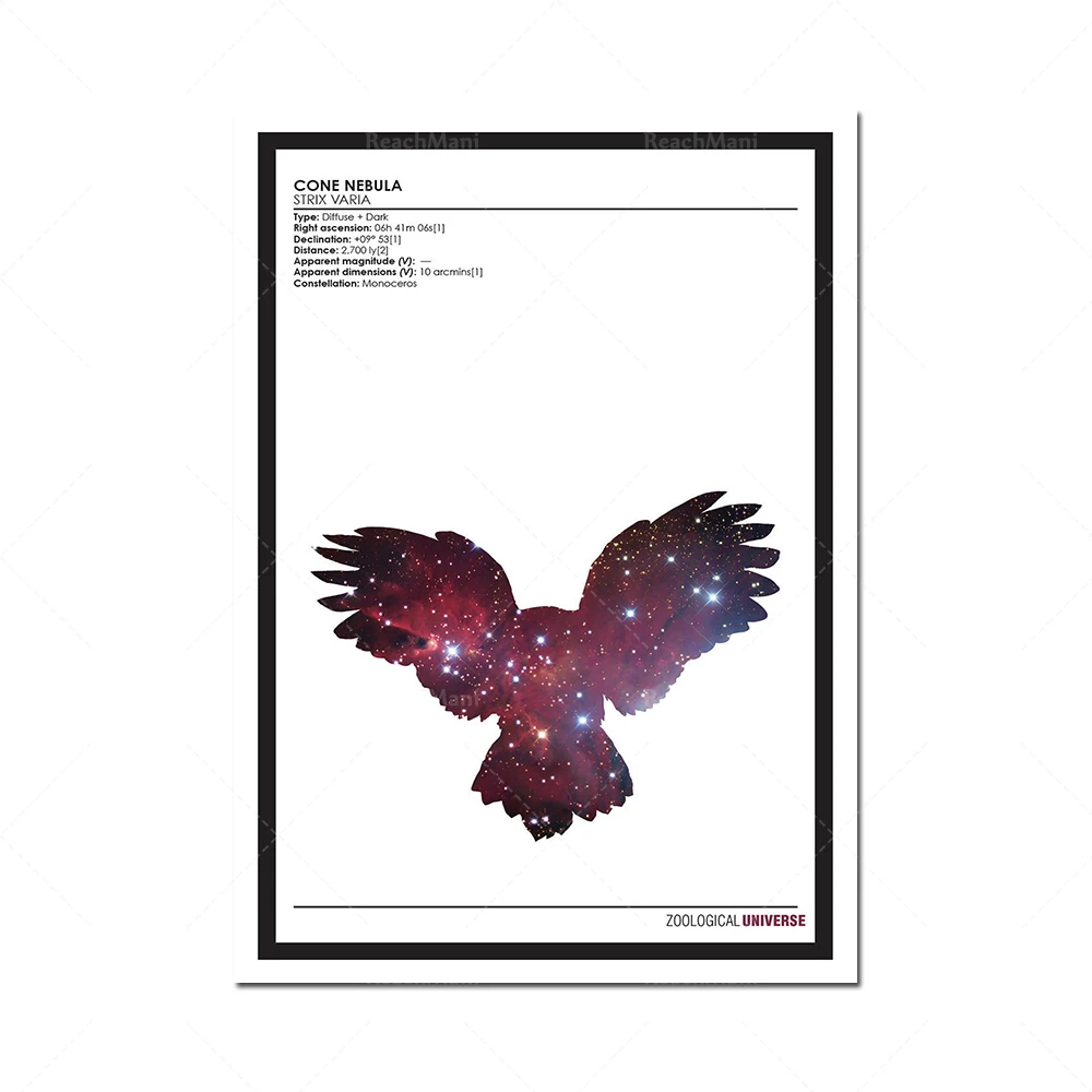 Серия плакатов Зотология Вселенной // Минималистичный принт силуэта животных