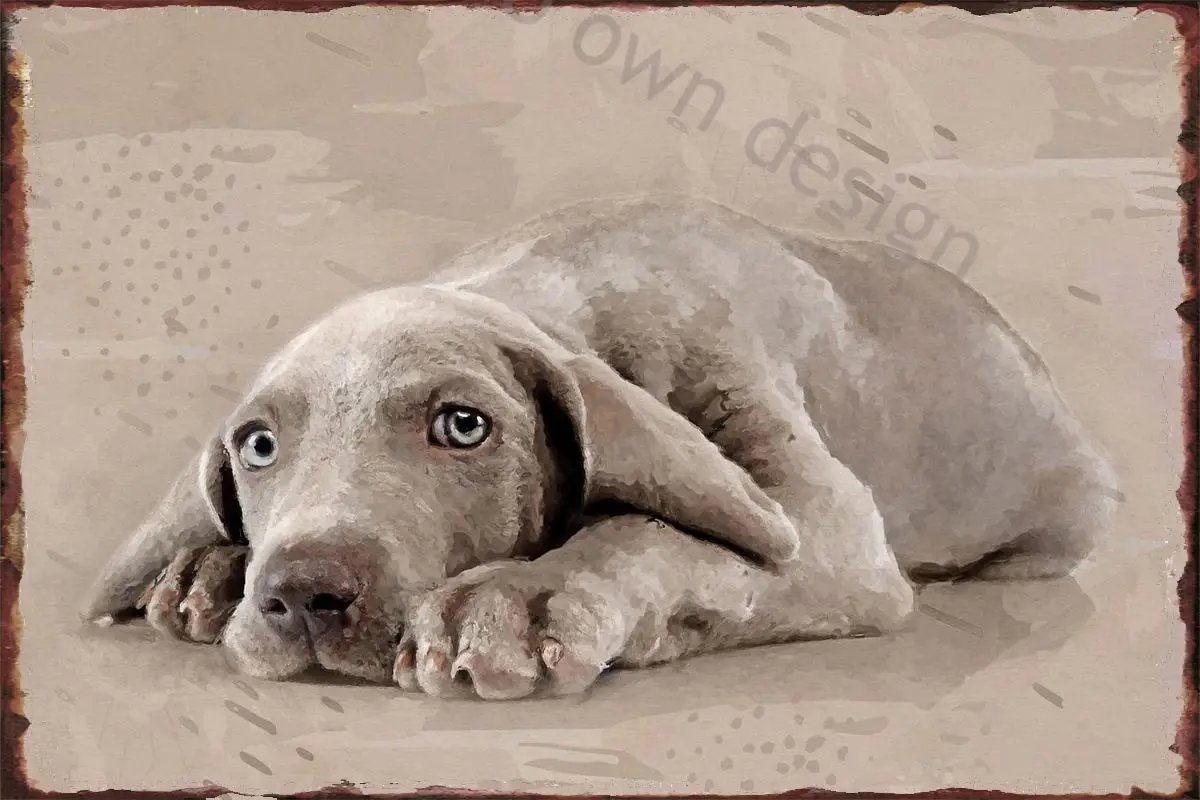 

Weimaraner Puppy Retro Vintage Metal Sign Tin Sign Tin Plates Wall Decor Room Decoration For Art Cafe Pub Home Club Man Cave