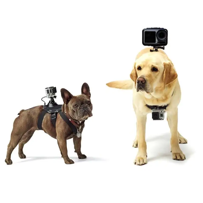 Adjustable Dog Harness Mount Action Camera Dog Belt Chest Strap Holder Action Base For GoPro Hero 7 6 5 4 Xiaoyi Sports Camera