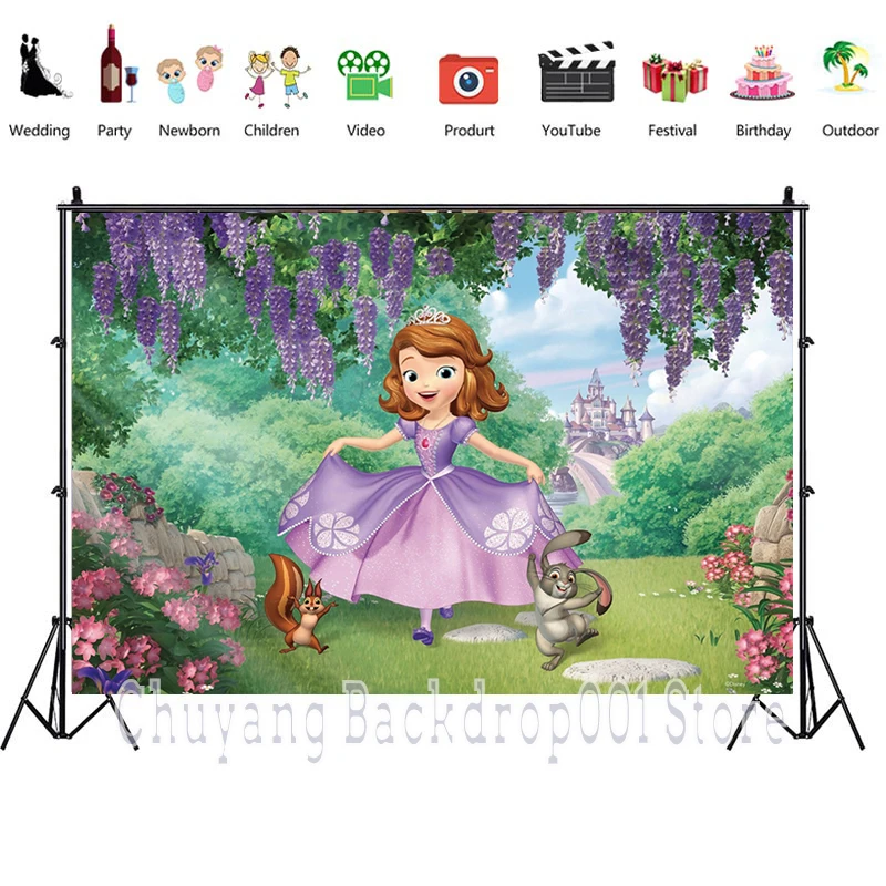 Индивидуальный фон для фотосъемки София принцесса замок Моана девочек украшение