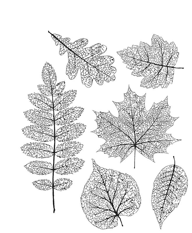 Лист прозрачные штампы/Силиконовые печати для DIY Скрапбукинг фото