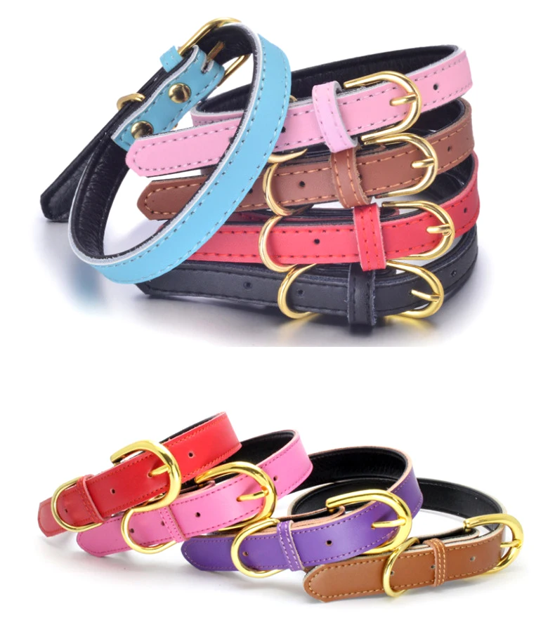 SimpleDog ошейник 11 цветов персонализированные ошейники для домашних питомцев